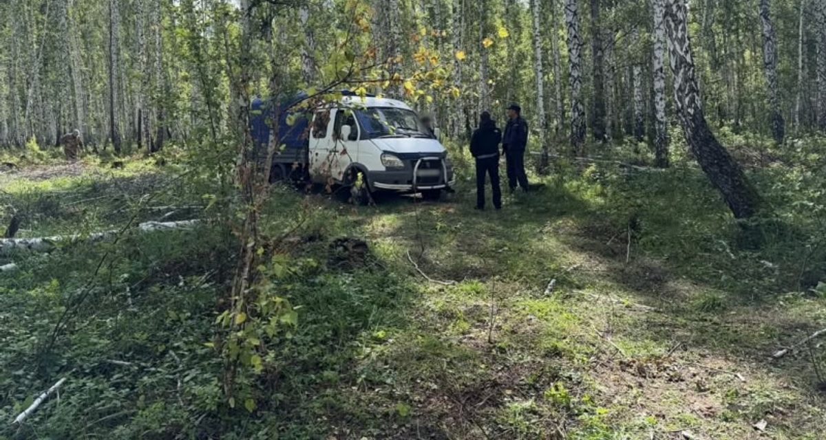 Полиция задержала мужчину, которого подозревают в вырубке 37 берёз в Катайском округе