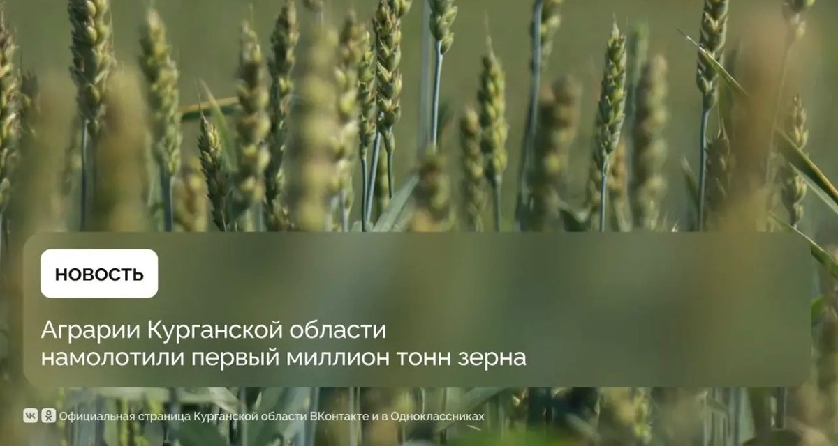 Аграрии Курганской области намолотили первый миллион тонн зерна