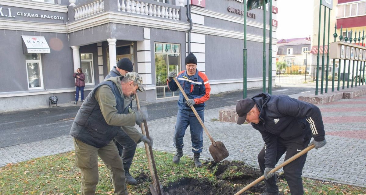 Питомник из Тюмени подарил Кургану 200 кустов кизильника и голубые ели